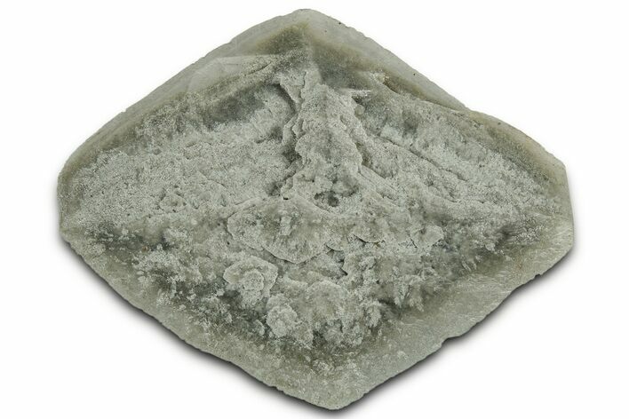 Selenite Crystal - Elder County, Utah #326991